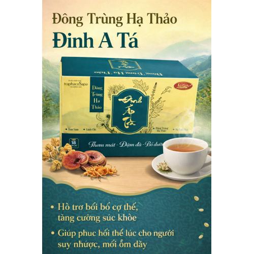 ĐÔNG TRÙNG HẠ THẢO ĐINH A TÁ
